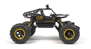 RC Geeks | RCG Racing RC 1/16 Rock Crawler - Black