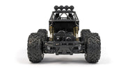RC Geeks | RCG Racing RC 1/16 Rock Crawler - Black