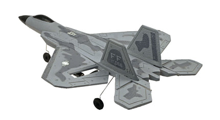 RC Geeks | RCG Racing F-22 Raptor Jet 3ch RC Plane