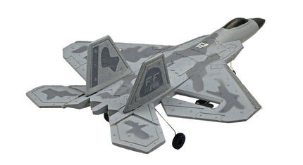 RC Geeks | RCG Racing F-22 Raptor Jet 3ch RC Plane