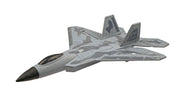 RC Geeks | RCG Racing F-22 Raptor Jet 3ch RC Plane