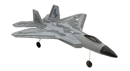 RC Geeks | RCG Racing F-22 Raptor Jet 3ch RC Plane