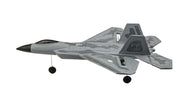 RC Geeks | RCG Racing F-22 Raptor Jet 3ch RC Plane