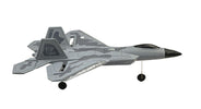 RC Geeks | RCG Racing F-22 Raptor Jet 3ch RC Plane