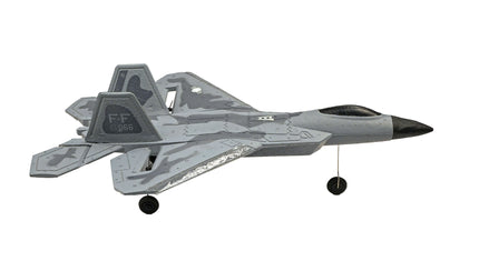 RC Geeks | RCG Racing F-22 Raptor Jet 3ch RC Plane