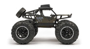 RC Geeks | RCG Racing RC 1/18 Rock Crawler - FPV