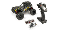 RC Geeks | RCG Racing Wind Speed 1/16 Brushless Buggy - Black/Gold